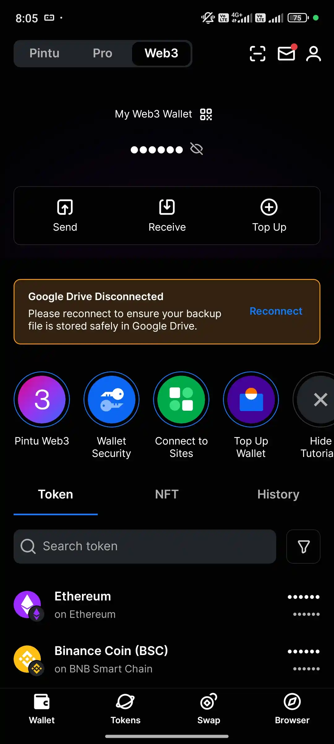 Review Pintu Web3